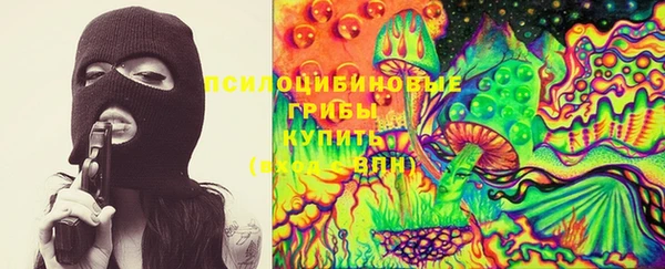 бутират Губаха