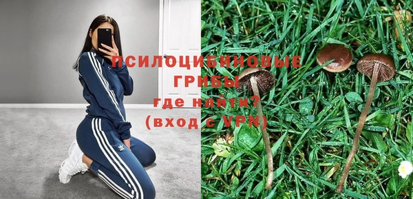 скорость Алзамай
