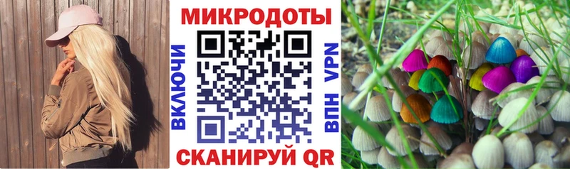 Галлюциногенные грибы MAGIC MUSHROOMS  хочу   Новосиль 